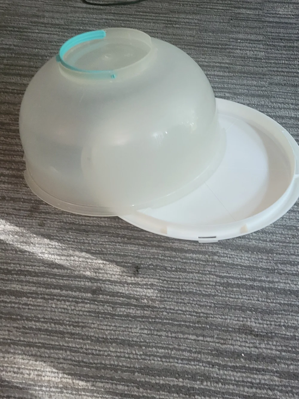 Cake Carrier With Cake Boards - Clear with Aqua Handle